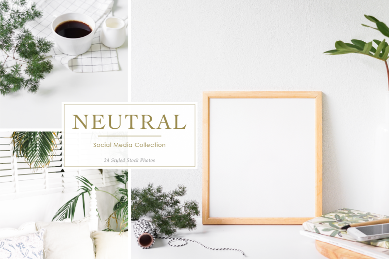 neutral-styled-stock-photos