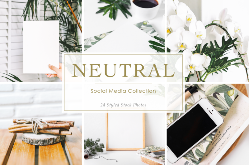 neutral-styled-stock-photos