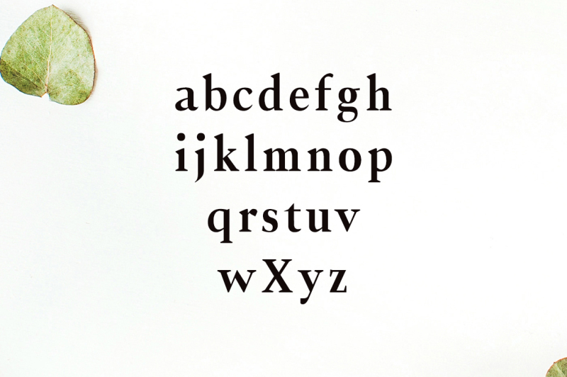 jerrick-serif-6-font-pack-50-percent-off