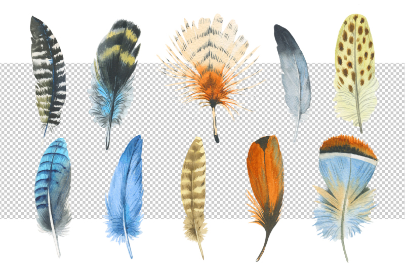 watercolor-feather-png-and-patterns