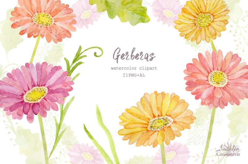 watercolor-set-of-gerbera-flowers