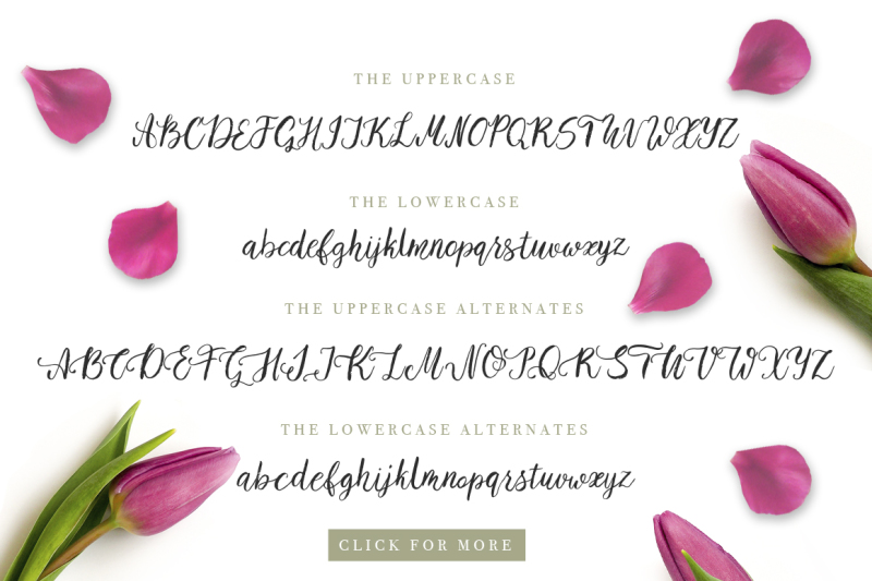 tulip-garden-script