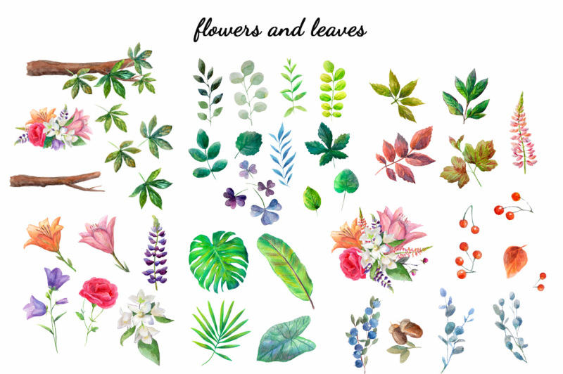 watercolor-birds-flowers-patterns