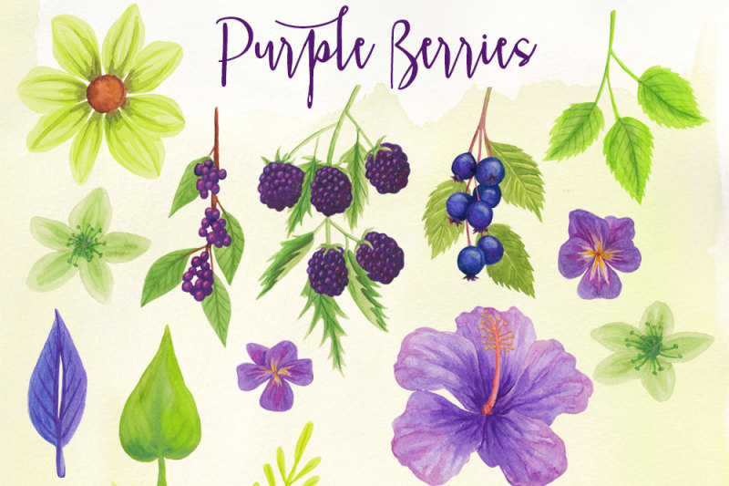 purple-berries-and-flowers