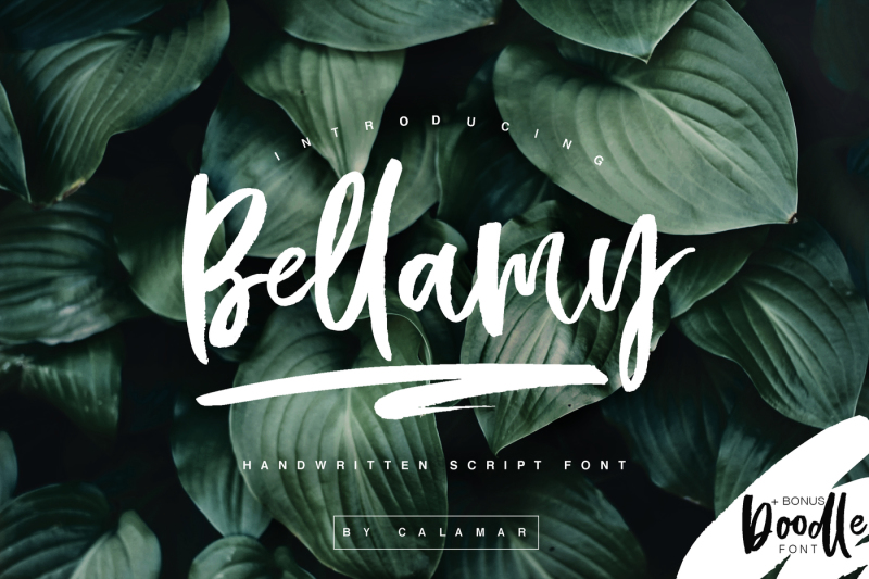 bellamy-script