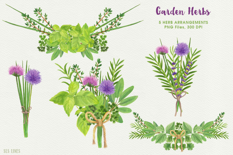 herb-garden-watercolor-illustrations