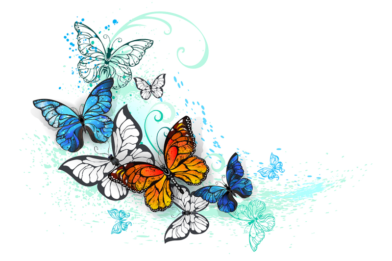 artistic-morpho-and-monarchs-butterflies
