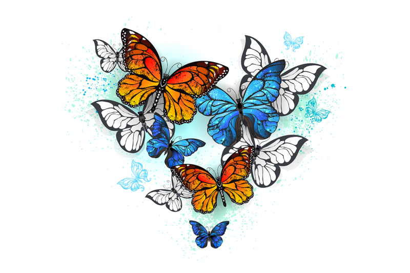 morpho-and-monarchs-butterflies-butterfly