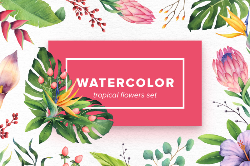 watercolor-tropical-flowers-set