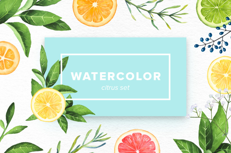 watercolor-citrus-set