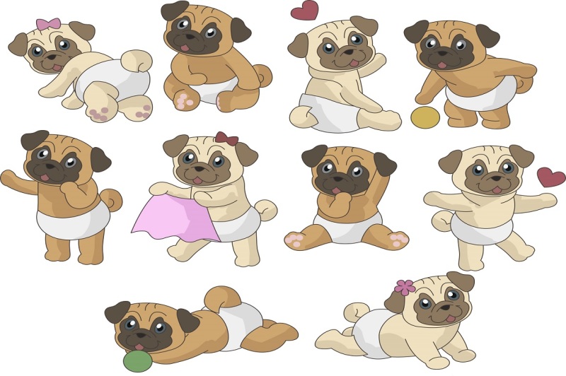 cutie-pugs-illustration-vector-pack
