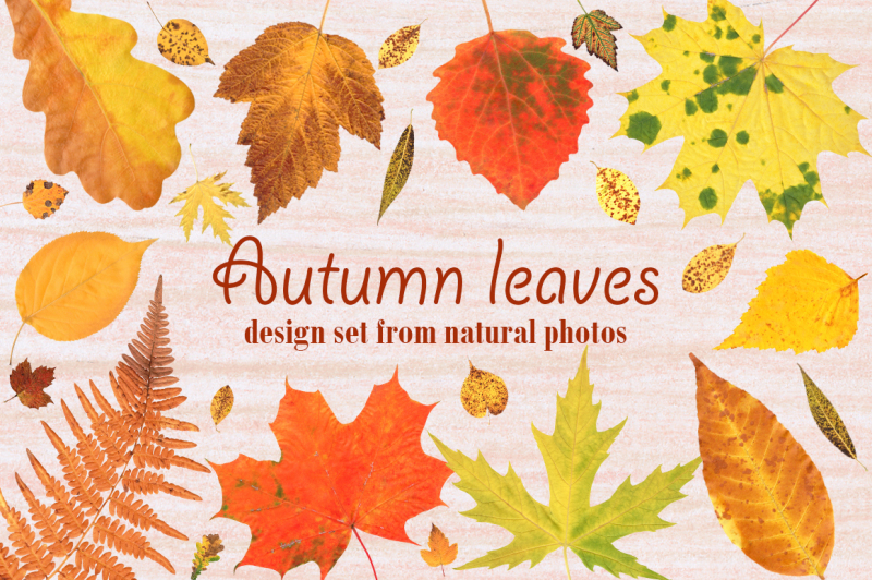 autumn-leaves