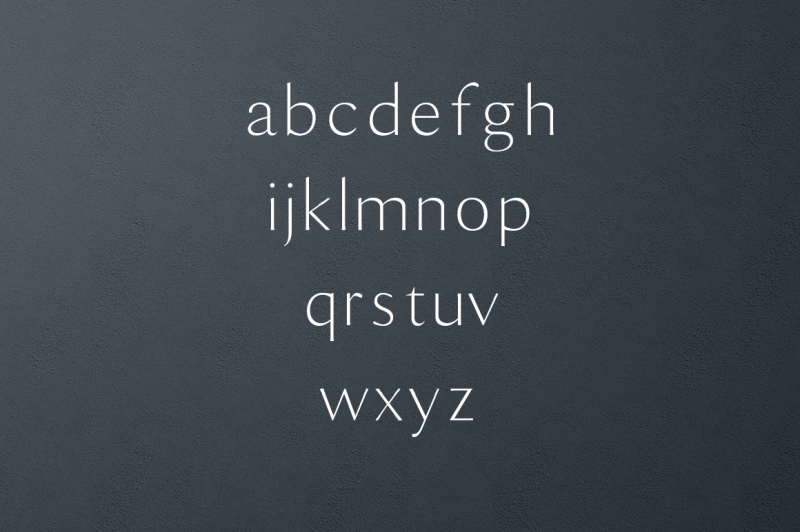 maleah-sans-serif-4-font-family-pack