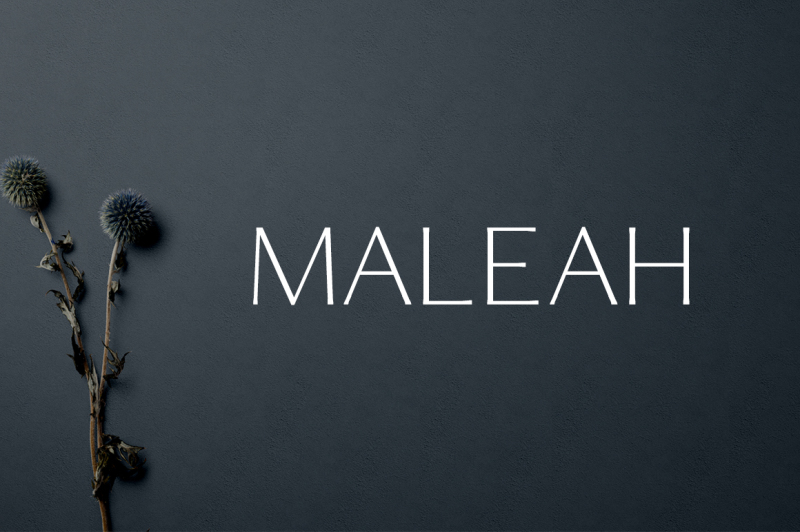 maleah-sans-serif-4-font-family-pack