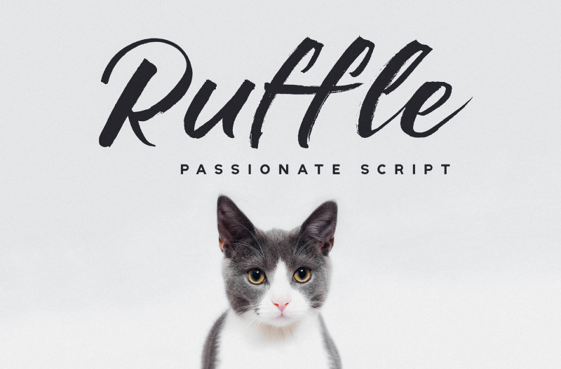 ruffle-casual-brush-font