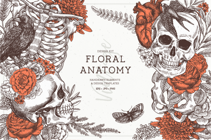 floral-anatomy