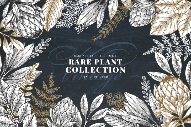 rare-plant-collection