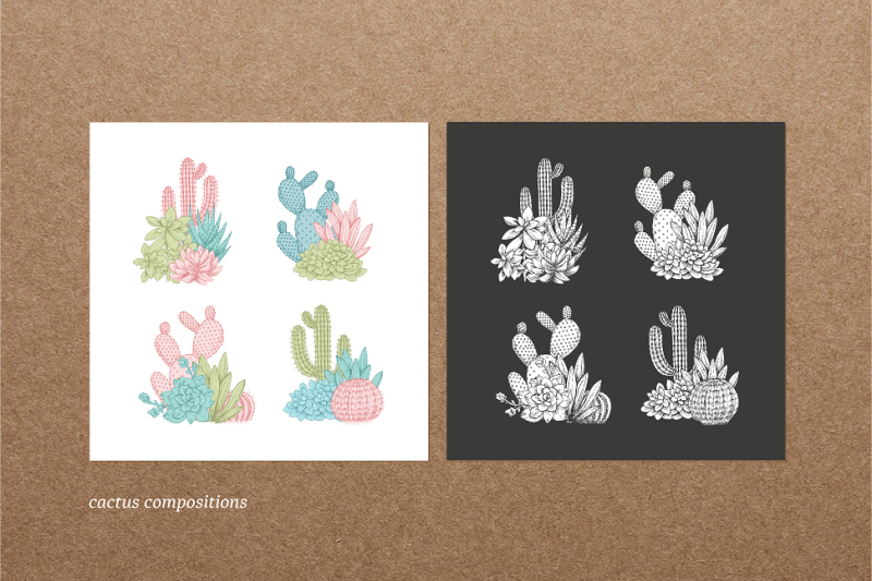 cactus-illustrations