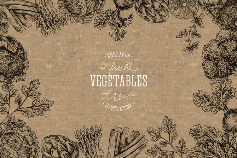 handsketched-vegetables