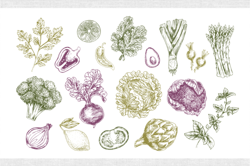 handsketched-vegetables