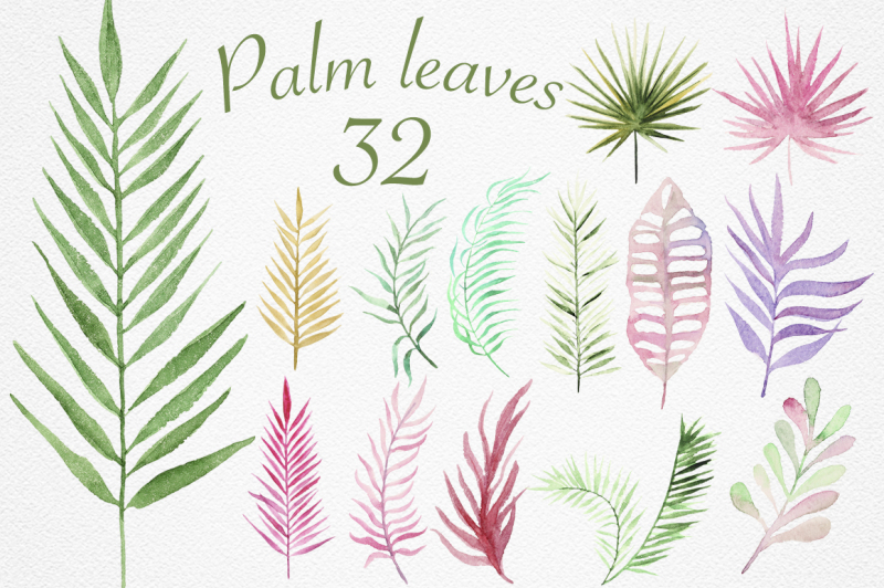 palm-leaves-collection