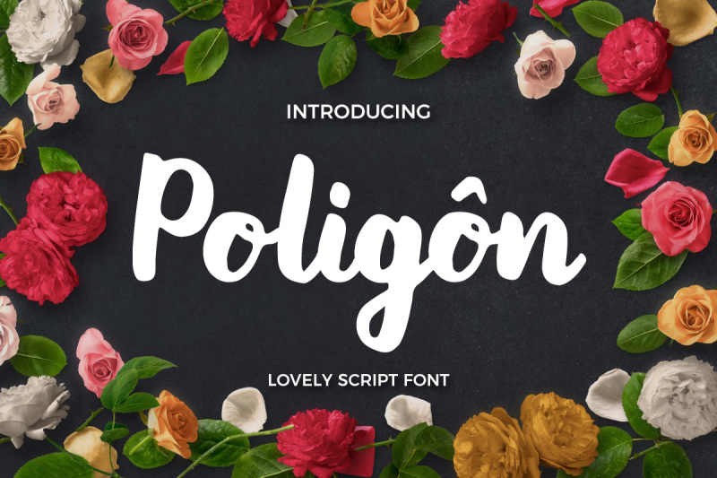 poligon-1-promo-limited-time-offer