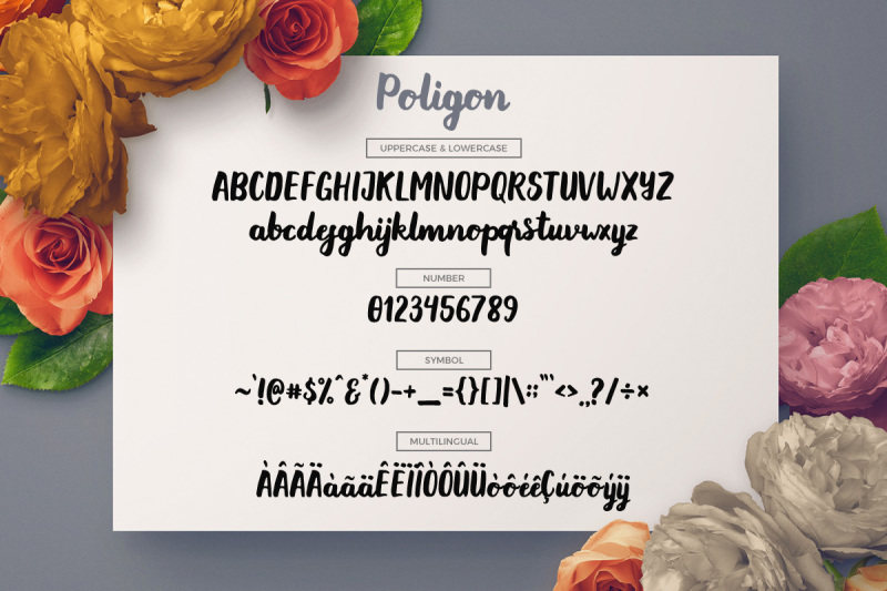 poligon-1-promo-limited-time-offer