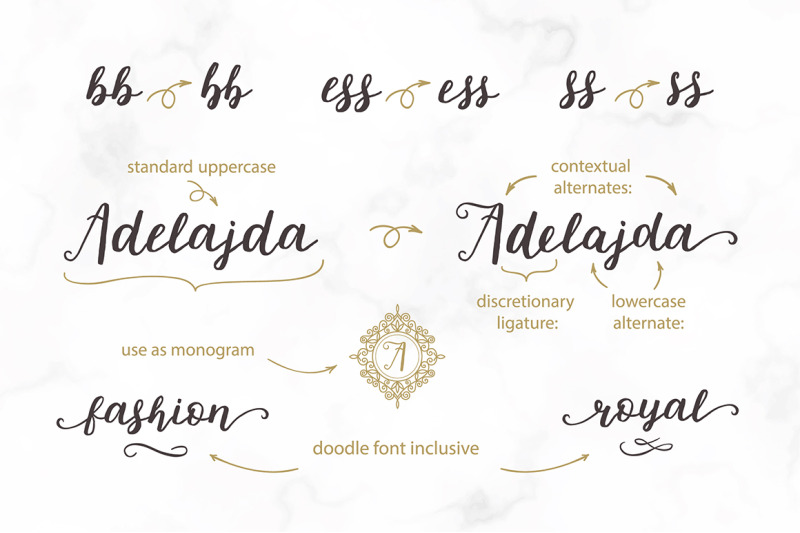 Michelle Script With Extras By Designwork Thehungryjpeg Com