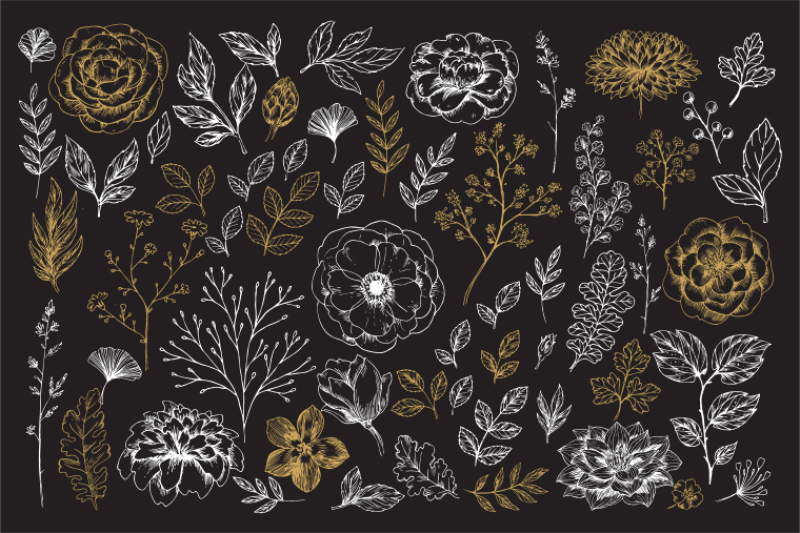 handsketched-floral-elements-kit