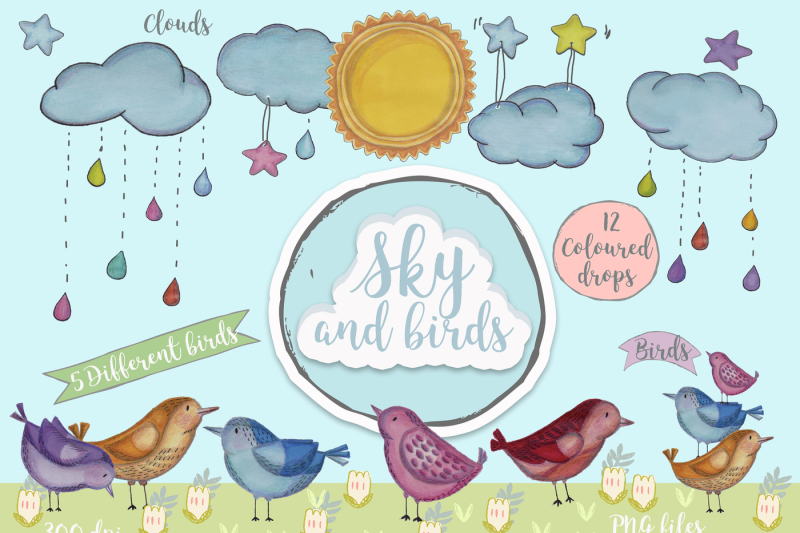 sky-and-birds