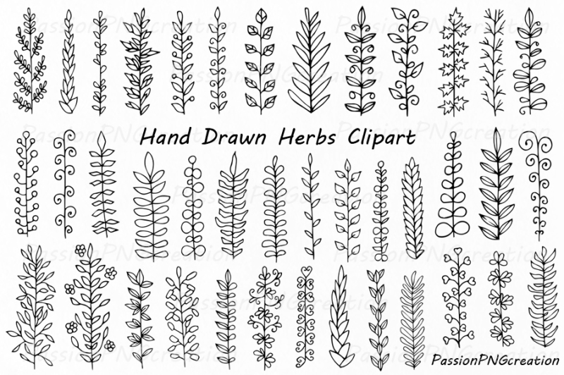 hand-drawn-herbs-clipart-leaves-clip-art-herbs-silhouette