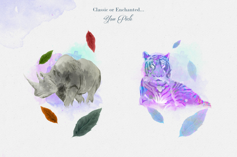 enchanted-wild-life-graphic-set-30-percent