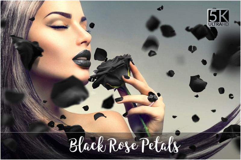 5k-black-rose-petals-overlays
