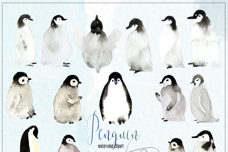 penguins-watercolor-hand-drawn-illustrations