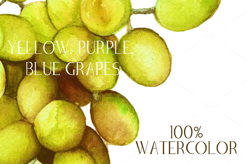 Watercolor Grapes By Spasibenko Art | TheHungryJPEG.com