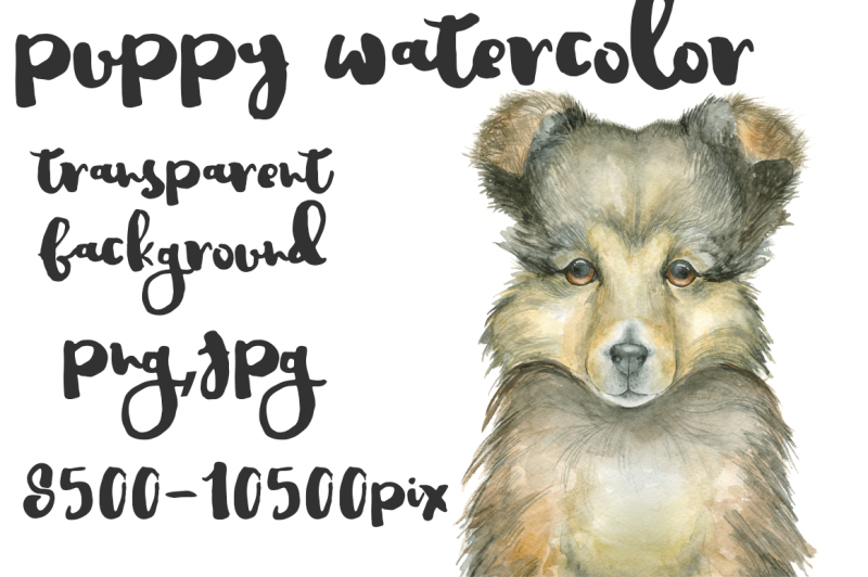 puppy-watercolor