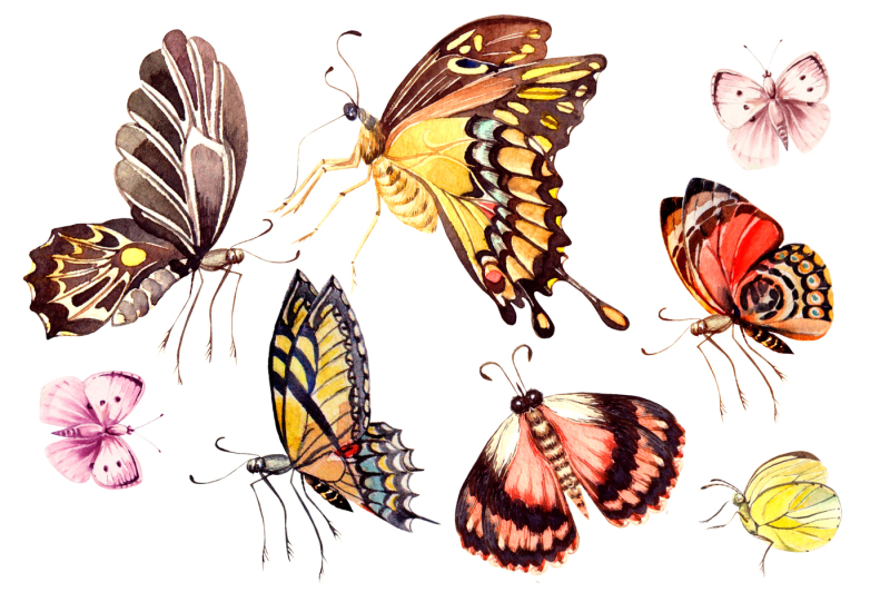 beautiful-watercolor-butterflies