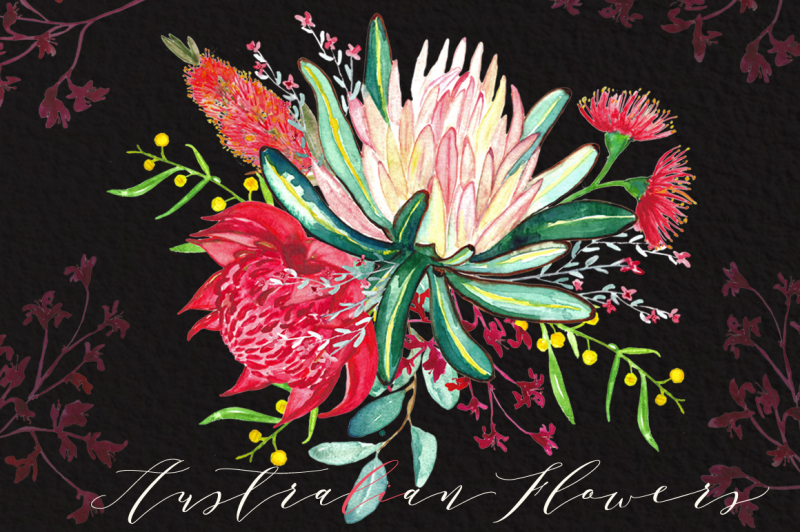 australian-flowers-watercolor