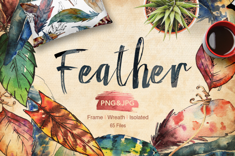 feather-bird-png-watercolor-set
