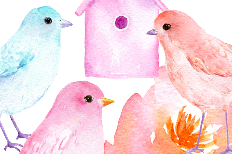 watercolor-clipart-birds-pastel-color