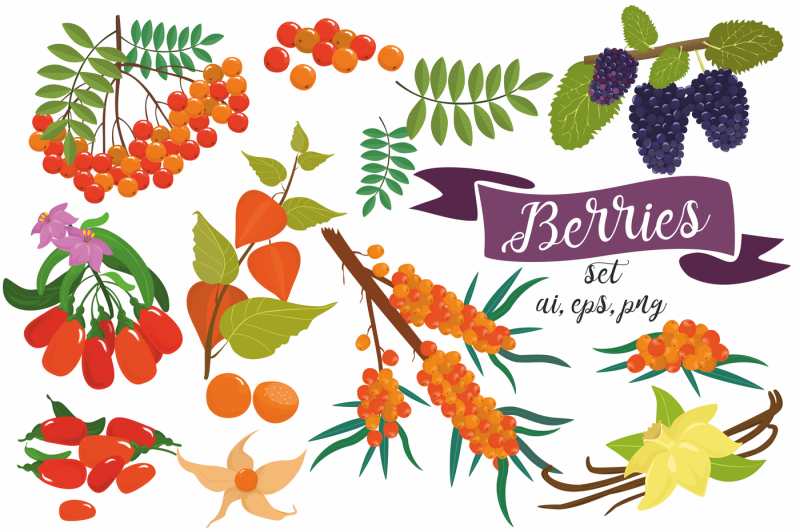 superfoods-berries-patterns