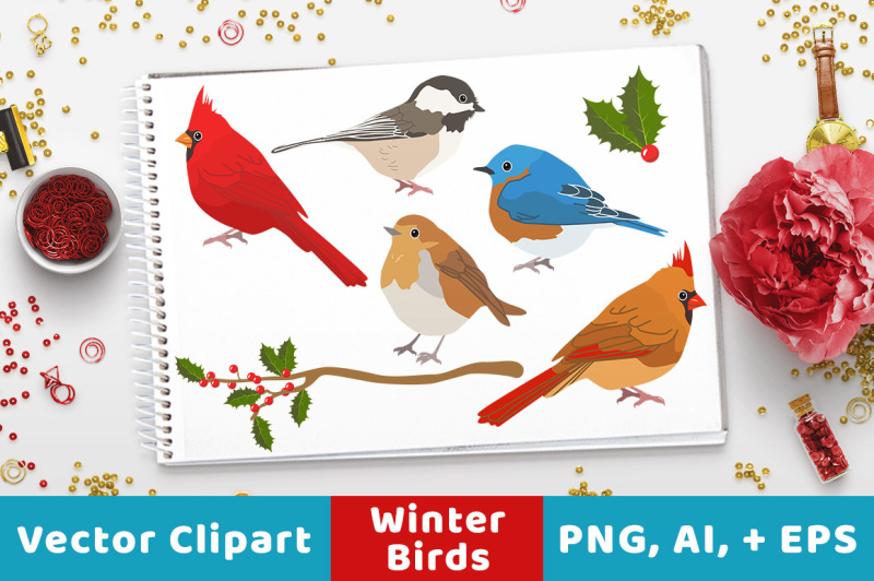 winter-birds-clipart-christmas-clipart-winter-clipart-holiday-clipart-animal-clipart-rustic-christmas