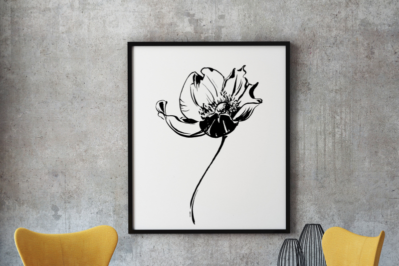 anemone-flowers