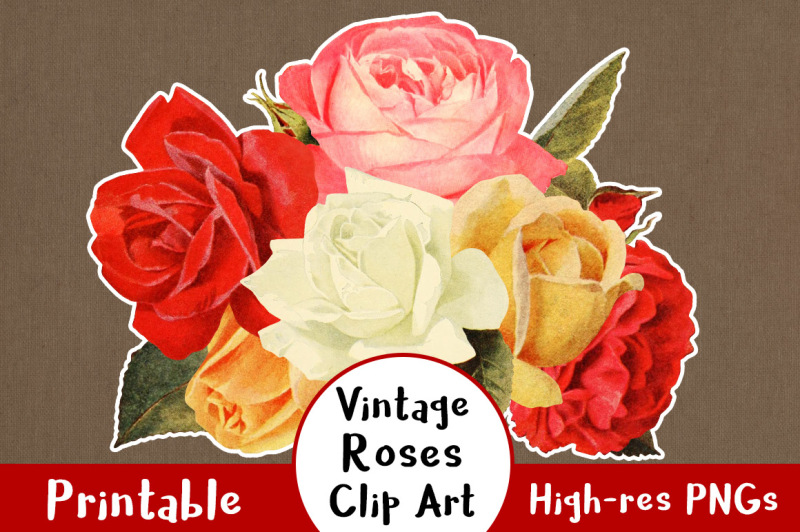 38-vintage-rose-clipart-floral-clipart-flower-clipart-wedding-clipart-rustic-clipart