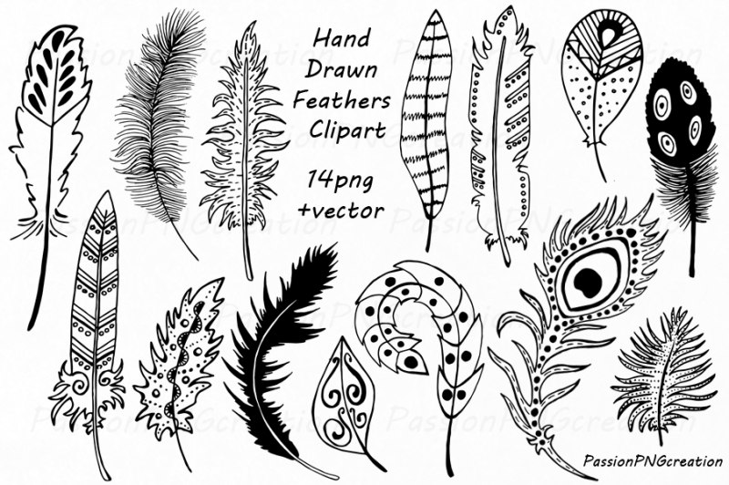 big-set-of-hand-drawn-feathers-clipart-digital-feathers-clip-art