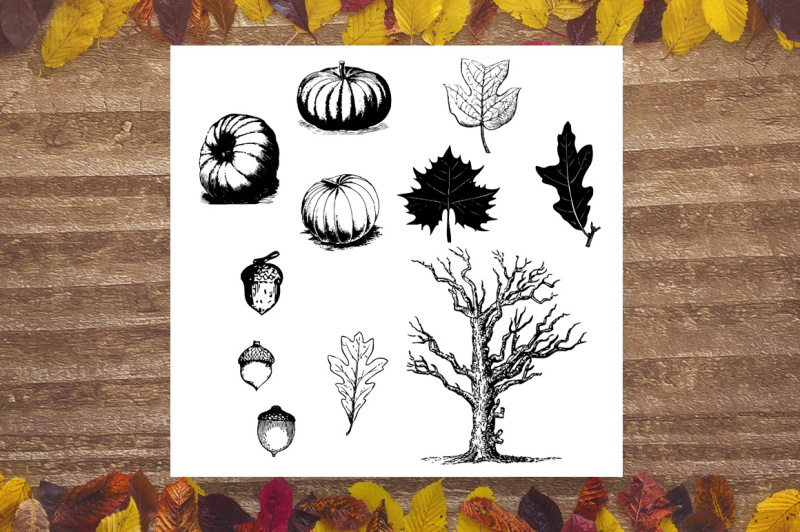 vintage-fall-clipart-autumn-clipart-rustic-fall-clipart-antique-pumpkin-graphics-fall-leaves-clipart-acorn-clipart