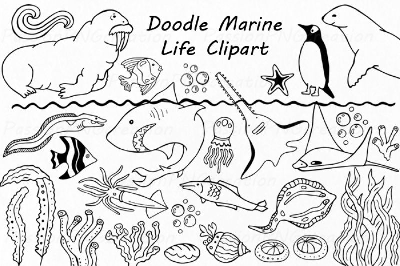doodle-marine-life-clipart