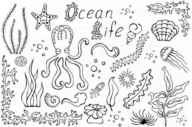 big-set-of-doodle-marine-life