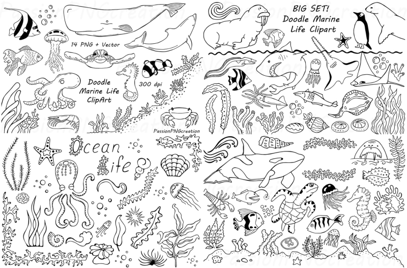 big-set-of-doodle-marine-life