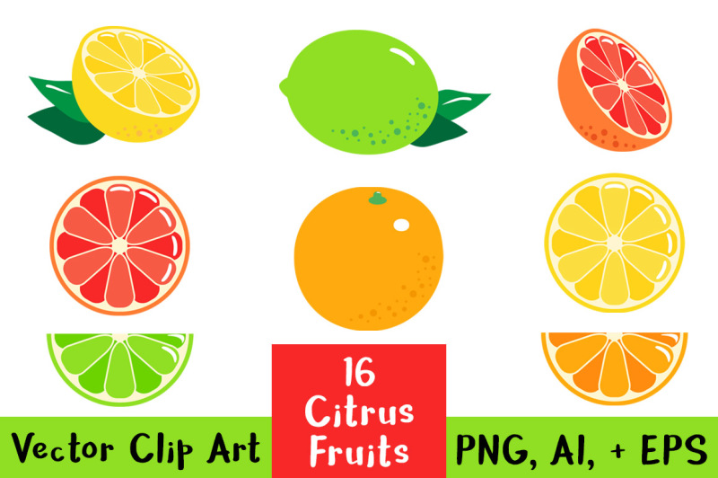 16-citrus-fruits-fruit-clipart-citrus-clipart-lemon-clipart-lime-clip-art-orange-grapefruit